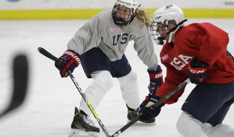 Feminist Karens Furious That a Women's League Literally Nobody Watches Refuses to Hand Out NHL Millions