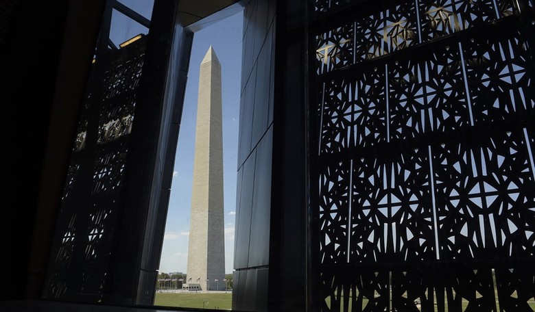 Arrest at the National Mall Has Progressives Upset