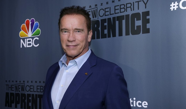 Arnold Schwarzenegger Terminates Any Rumors of Senate Run