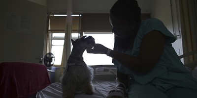 New Study Proves Dogs Really Are Man's Best Friend
