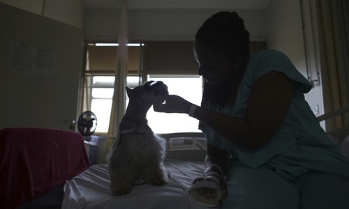 New Study Proves Dogs Really Are Man's Best Friend