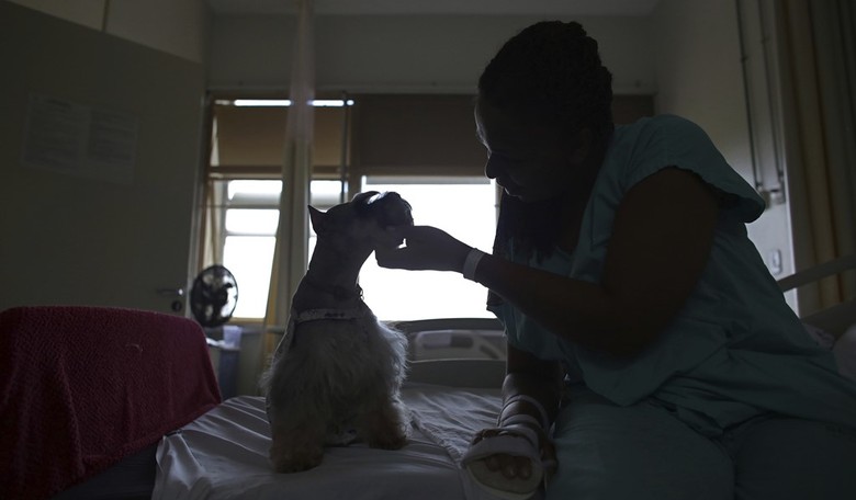 New Study Proves Dogs Really Are Man's Best Friend