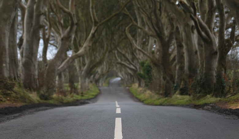 A Conversation With Rod Dreher on Living in Wonder Part 3: The Way Back