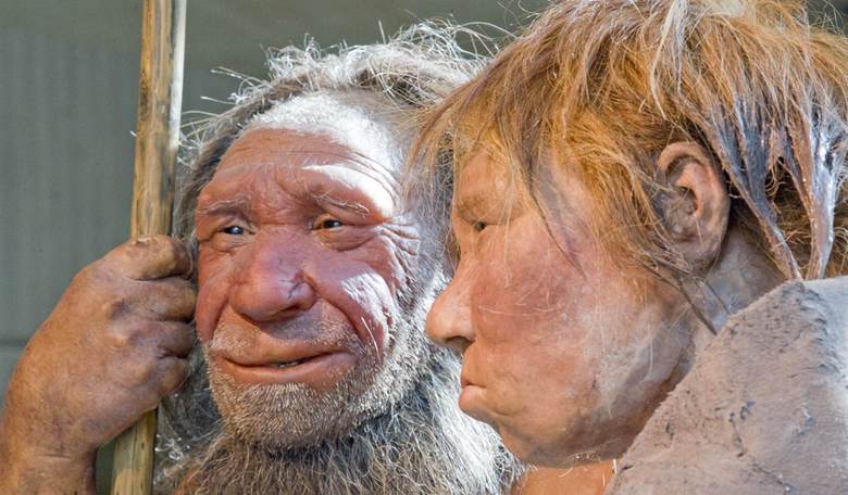 Smug New Yorker Cartoon Compares Trump DOGE Efforts to Neanderthals