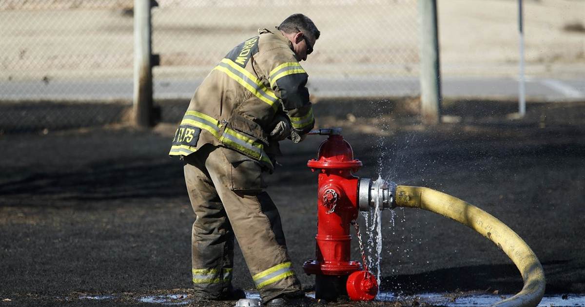Detroit Is So Far Gone, Officials Are Begging Criminals Not to Steal These