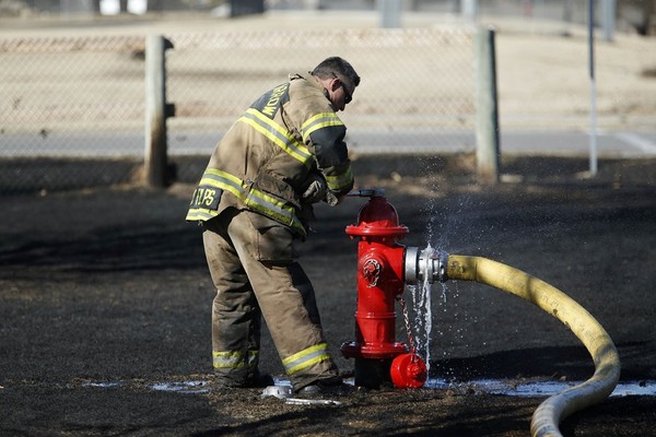 Detroit Is So Far Gone, Officials Are Begging Criminals Not to Steal These