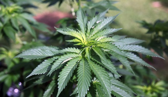 Marijuana and the Media
