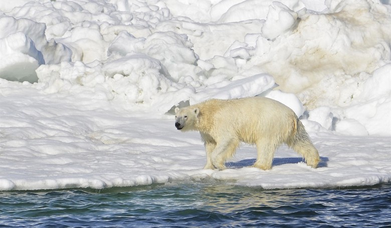 The Hillary Treatment for Climate Fraudsters?