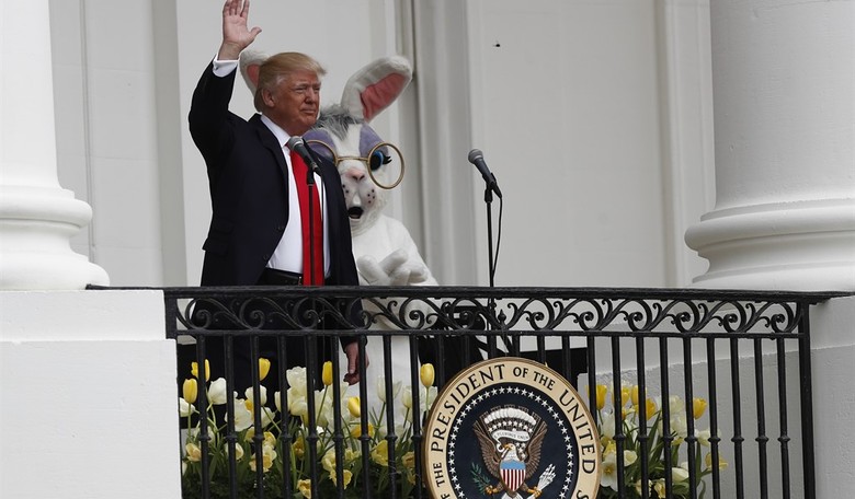 A Few Questions for Trump's Most Loyal Supporters