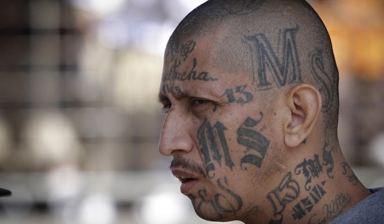 MS-13 Member Came to US With Caravan 