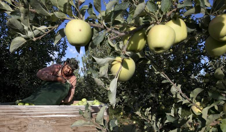Shutting Out Foreign Workers Would Cost American Jobs