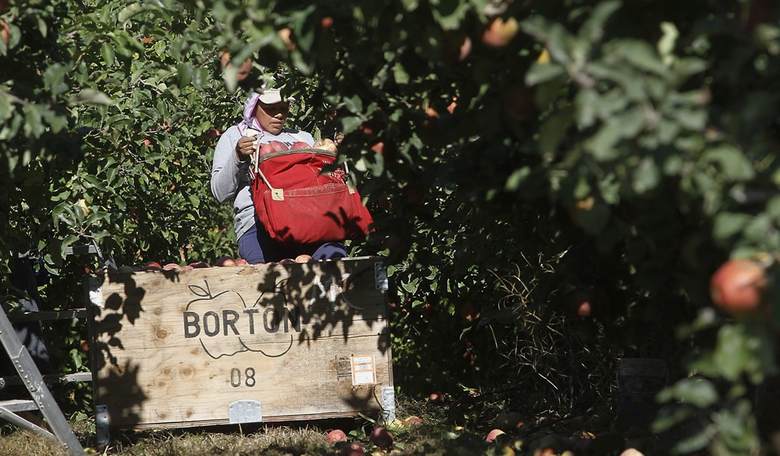 The Morning Briefing: Dems' Fave Argument for Illegals Just Took a Kick to the Groin