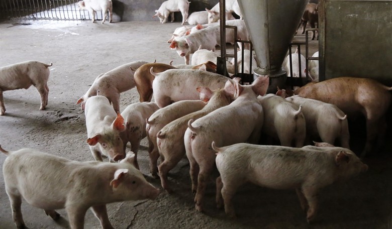 Congress Has Opportunity to Curtail California’s Overreach in Farm Bill 