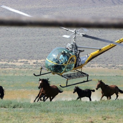 America's Wild Horse Program Is Broken. Bureaucracy Keeps It That Way.