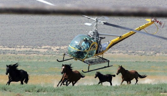 America's Wild Horse Program Is Broken. Bureaucracy Keeps It That Way.