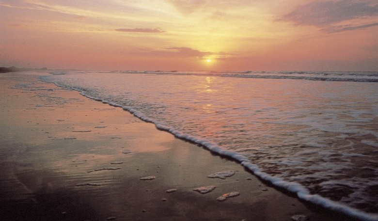 Something Unusual Happened on a Hilton Head Beach 