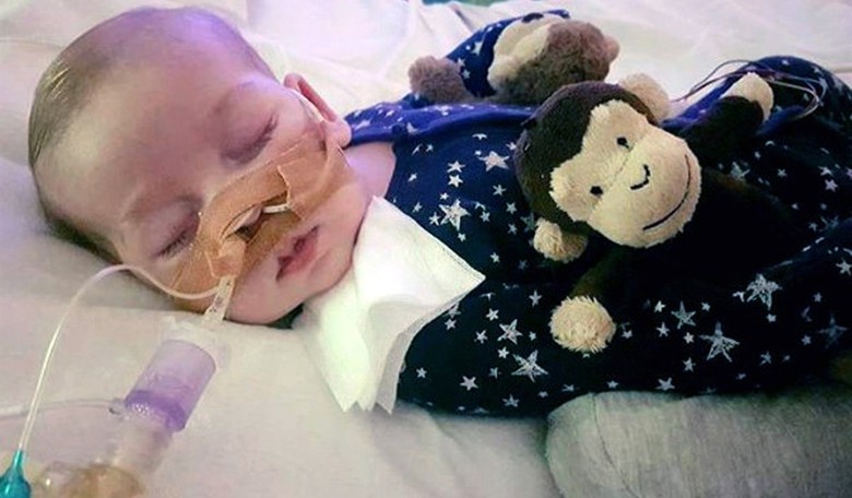 Trump Tweets Offer To Help Charlie Gard