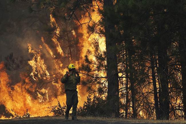 Authorities Arrest Democrat Donor for California Wildfire Blamed on 'Climate Crisis' - Vimarsana News
