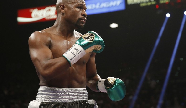 What MMA Can Teach Us About Politics