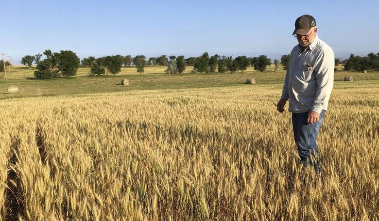 Technology and an Optimal Climate Are Feeding the World