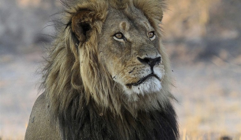 DEBUNKED: 5 of the Most Pervasive Hunting Myths Unraveled