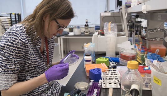 The CO Forensics Expert Who Pleaded Guilty to Mishandling Data Was Just Sentenced