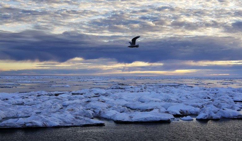 Arctic Wins: OBBB Gives America Big, Beautiful Icebreakers