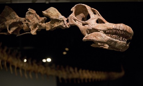 Jurassic, Eocene, Today: Let's Look at Some Climate Numbers