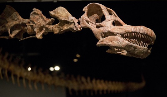 Jurassic, Eocene, Today: Let's Look at Some Climate Numbers