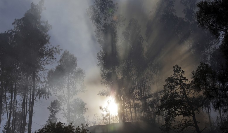 Finally, Some Commonsense Western Fire Policies 