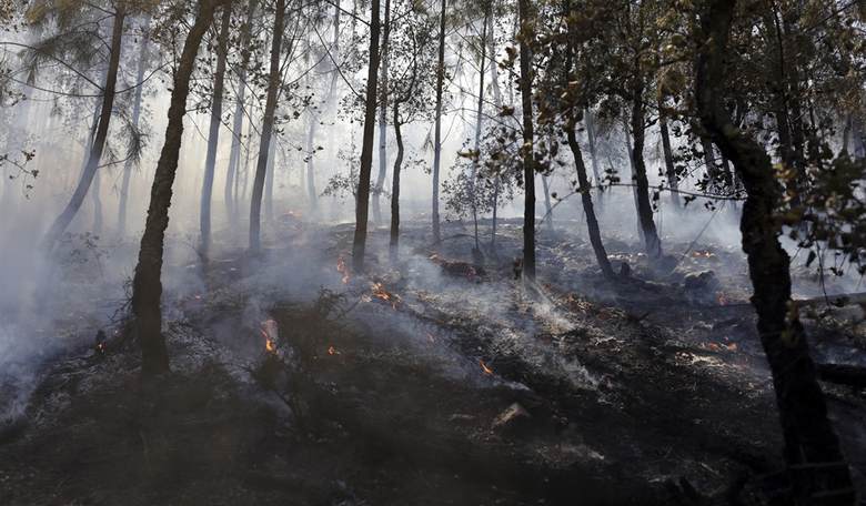 New Climate Change Theory: Excessive Heat Is Making Days Longer