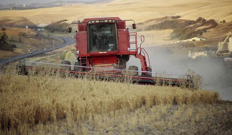 GM Foods: Promise or Peril?  