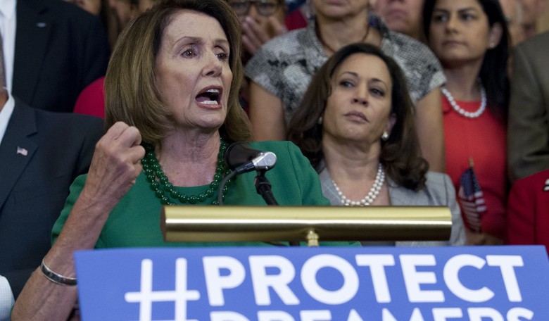 Pelosi: Let's Face It, DREAMers' Parents Did Something 'Great' By Breaking Our Laws