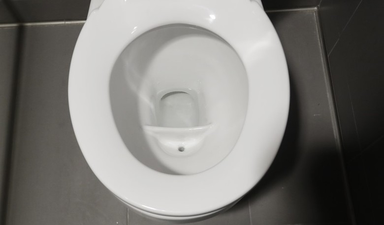 Public Toilets and Private Burdens