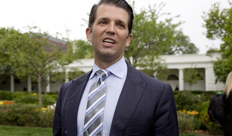 Trump Jr. Wanted to Meet with Russian Lawyer to Obtain Info on Clinton's 'Fitness' for Office