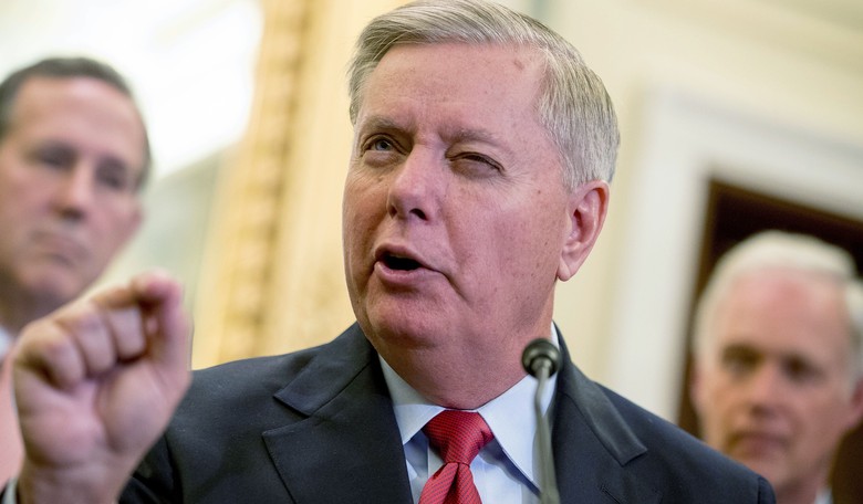 What Lindsey Graham Said to This Democratic Senator Was Hilarious...and That's the Point