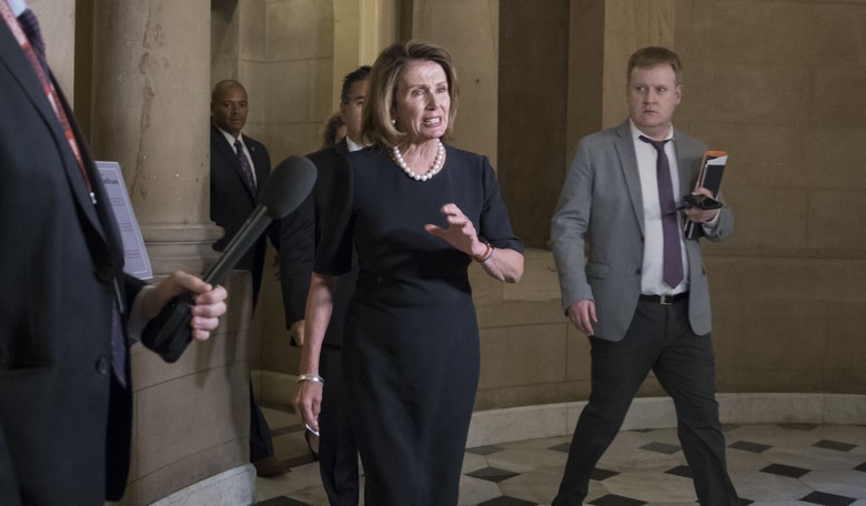 WATCH: DREAMers Shout Pelosi Down at Press Conference on the DREAM Act over Her Work with Trump