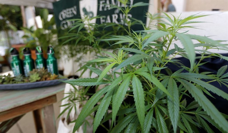 Gallup Poll Shows 64 Percent of Americans Support Legal Marijuana