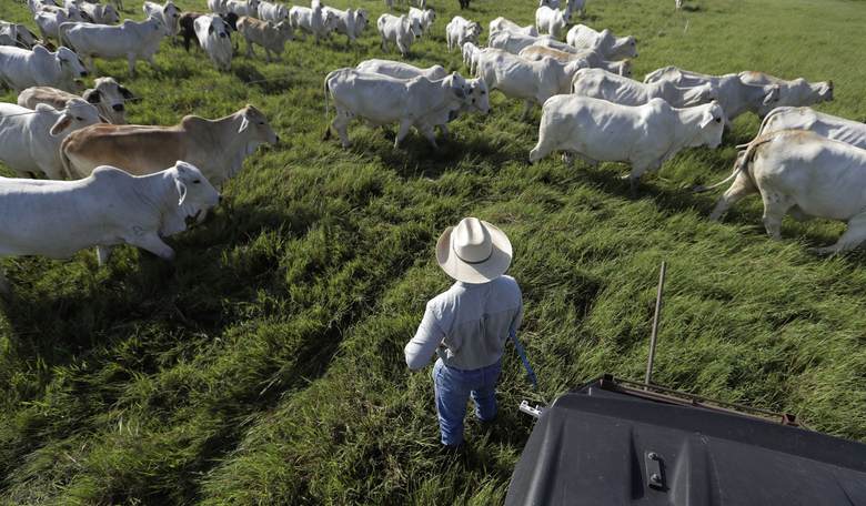 Guess Who Is Buying Up U.S. Farmland Now?  