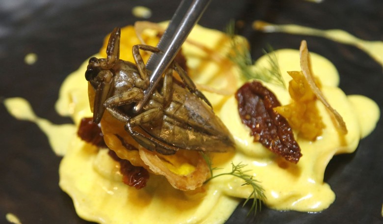 No Eating Ze Bugs: Europe’s Biggest Insect Company Goes Bankrupt