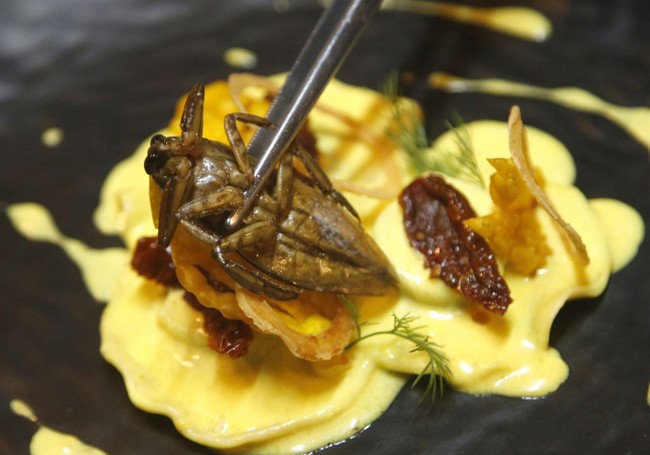 No Eating Ze Bugs: Europe’s Biggest Insect Company Goes Bankrupt