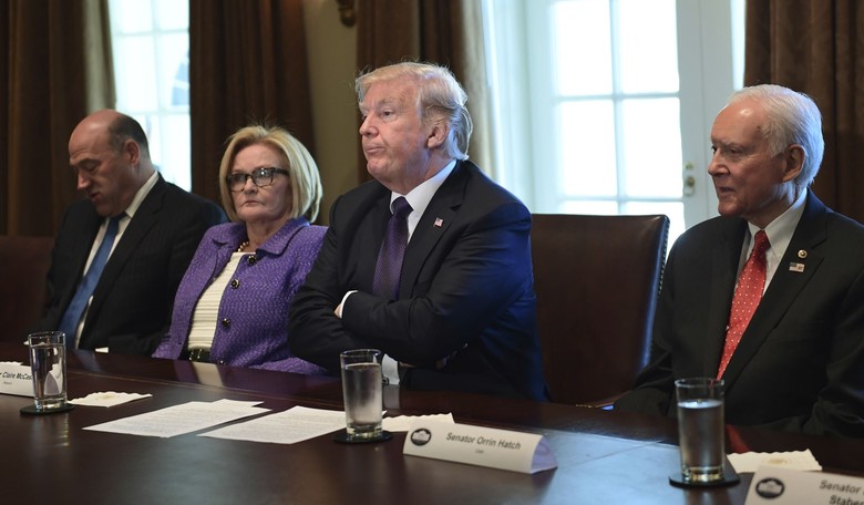A Viewer's Guide to the Midterm Elections