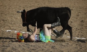 Sodom and Gomorrica: Queer Steers