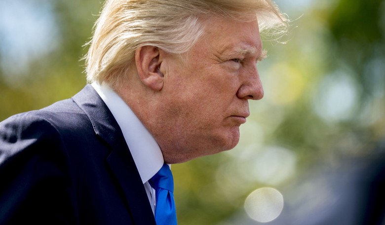 Trump Has Found a Real News Story About a Fake Dossier