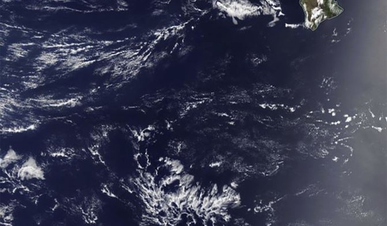 Would You Bet Your Paycheck on a Weather Forecast?