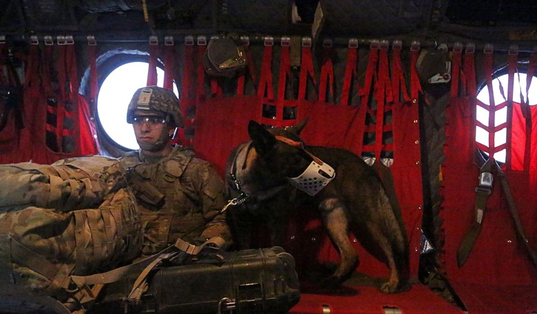 Merry Christmas! Air Force NCO Reunited With His Dog After Two Years