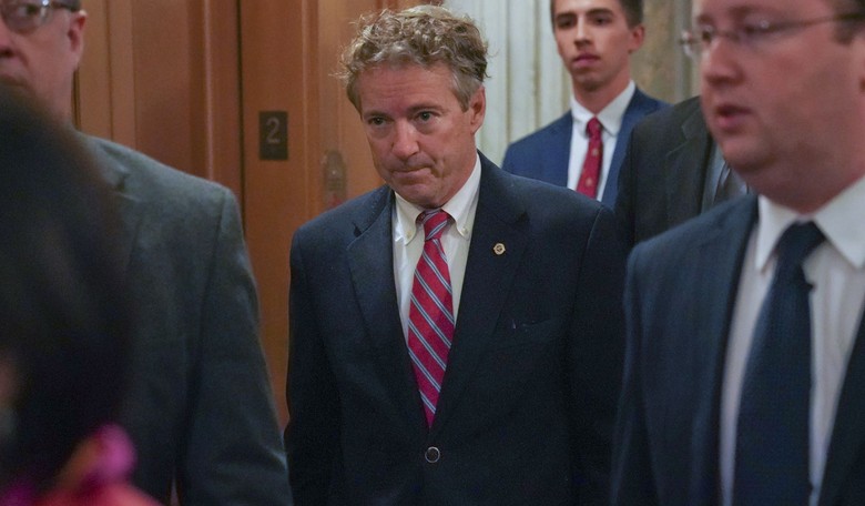 MSNBC Reporter: Rand Paul Being Beaten Up Is 'One Of My Favorite Stories'