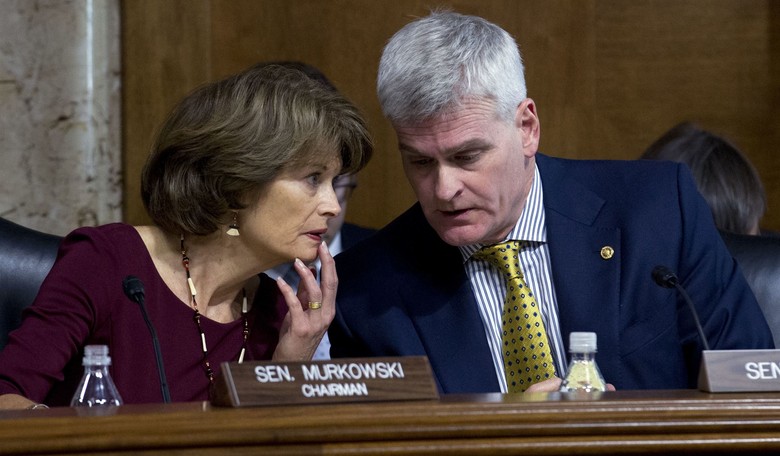 The Real Bill Cassidy Returns 