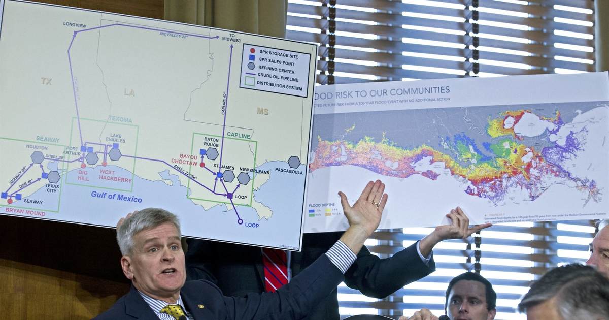 townhall.com - Jeff Crouere - Louisiana Voters Reject Cassidy and His Costly Healthcare Policies