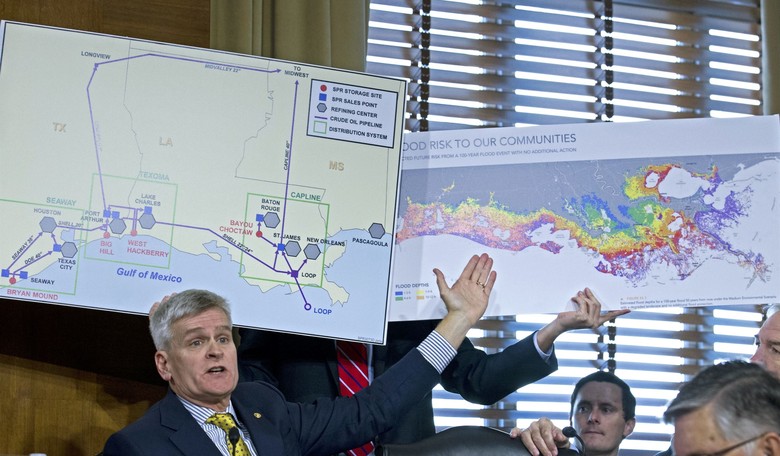 Louisiana Voters Reject Cassidy and His Costly Healthcare Policies